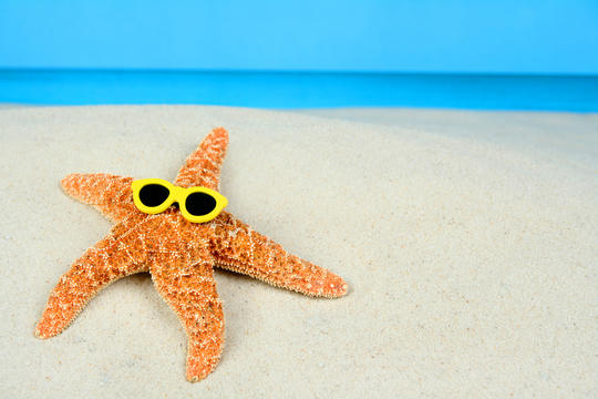 Sjøstjerne med solbriller ligger på en sandstrand, med hav og himmel i bakgrunnen.